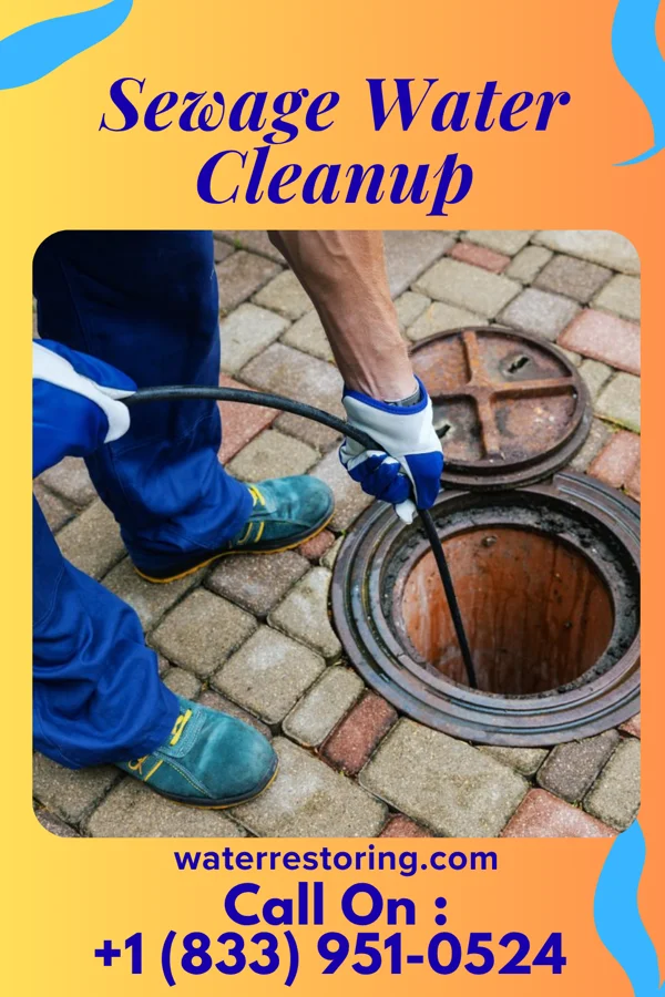 Sewage Water Cleanup in Babbitt, MN