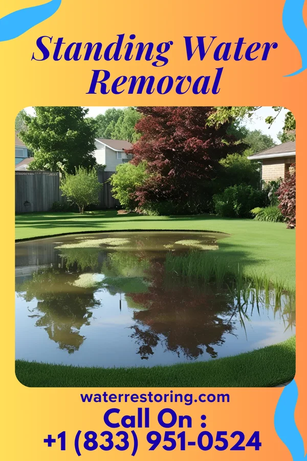 Standing Water Removal in Babbitt, MN